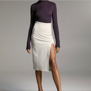 Aritzia Declan Skirt